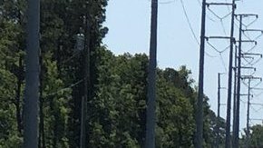 El avión cayó sobre una carretera