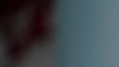 El presidente Trump busca que los republicanos mantengan el control del Congreso.