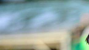 El delantero de Flamengo, y de la selección peruana Paolo Guerrero quema su último cartucho para ir a Rusia.