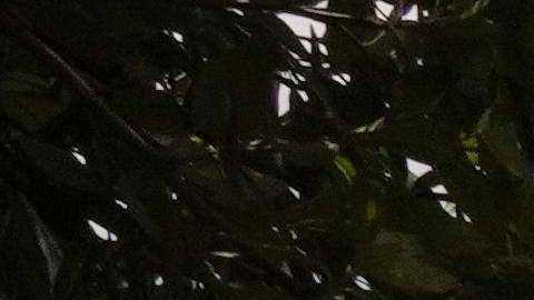 Banderas a media en la escuela de Santa Fe donde ocurrió el tiroteo.