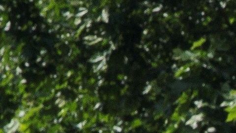 Las autoridades tomaron las calles en Lieja, Bélgica