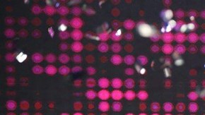 'Al Final Todo Queda en Familia'