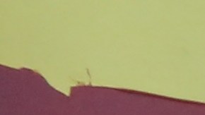 Trabajadores en una obra en construcción/Archivo.