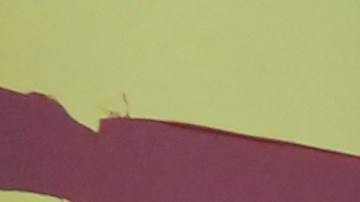 Trabajadores en una obra en construcción/Archivo.