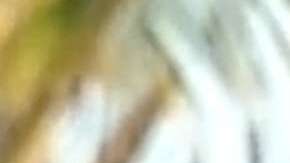 Andrés García en "Ventaneando"