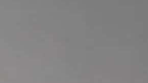 Angelique Boyer y Michel Brown