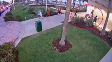 Un video de la Policía de Miami muestra el momento del ataque.