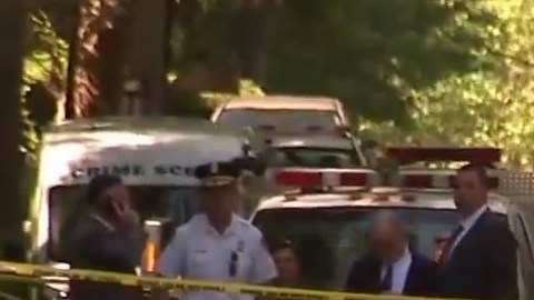 La avioneta se estrelló en el condado de Suffolk.