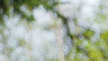 Da un paseo al aire libre.