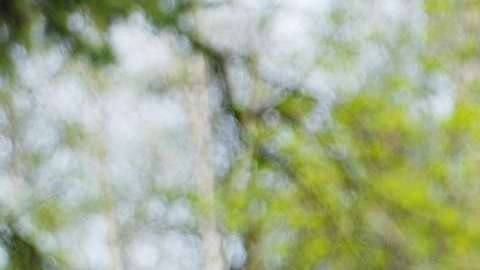 Da un paseo al aire libre.