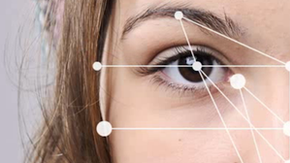 Esta tecnología pueda emplearse "para controlar a inmigrantes"