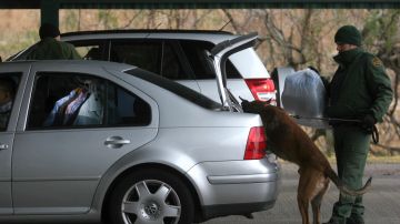 Agente de la Patrulla Fronteriza de EEUU revisa un auto on la ayuda de un perro rastreador.