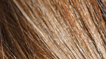 Te damos las claves para tener un pelo divino.