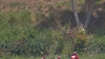 El Cuerpo de Bomberos y la Policía del Condado Orange buscan a la menor desaparecida.
