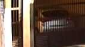 Deteniendo al ladrón