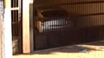 Deteniendo al ladrón