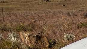 Autos que se involucran en accidentes con más frecuencia.