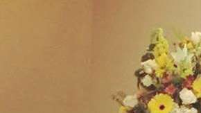 Un perro atiende el funeral de su dueño.