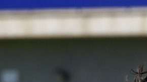 La mexicana Charlyn Corral ha hecho una gran temporada con el Levante.