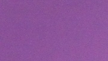 Ni la primera dama ni el alcalde han comentado el robo