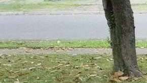 Muchos famosos se han conmovido con la historia de Corey Patrick.