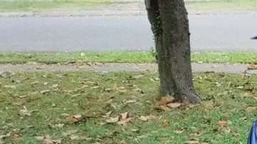 Muchos famosos se han conmovido con la historia de Corey Patrick.