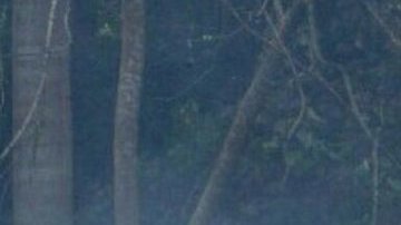 Personal de rescate revisa la zona del accidente