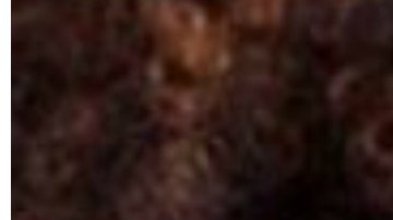 Díaz no ha respondido a las acusaciones de supuesta conducta sexual impropia con la escritora Zinzi Clemmons.