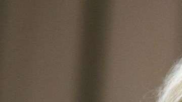 Betsy DeVos fue nombrada a su puesto por el Presidente Donald Trump.