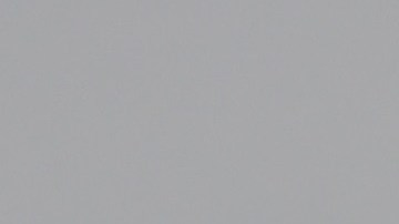 Dinesh D'Souza y Donald Trump.