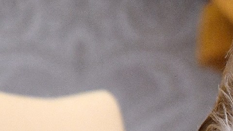 El presidente Trump mantiene su plan contra la banda MS-13.