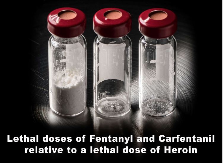 El carfentanil es 5,000 veces más poderoso que la heroína y 100 veces más que el fentanyl.