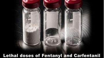 El carfentanil es 5,000 veces más poderoso que la heroína y 100 veces más que el fentanyl.