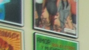 Foro "Conozca sus derechos" de MRNY