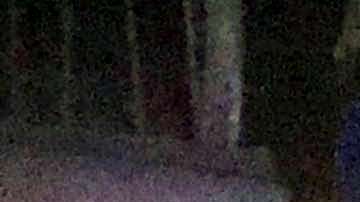 Mueren tres militares en emboscada en Guerrero.