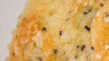 Muffin publicado por la CDC que entre sus semillas esconde cinco garrapatas.