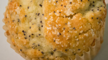 Muffin publicado por la CDC que entre sus semillas esconde cinco garrapatas.