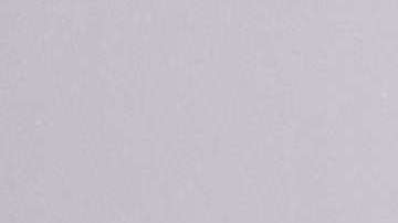 Allegados a Vanessa dicen que exigirá una buena parte de la fortuna de Trump Jr.