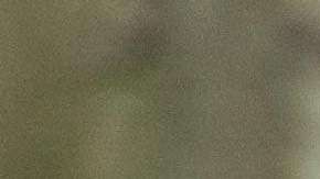 La población de leopardos de Amur se estima en unos cincuenta en la naturaleza en todo el mundo.