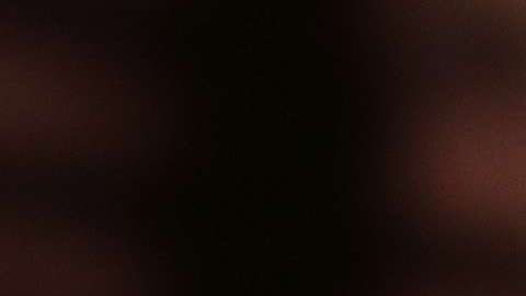 Arpaio busca posicionarse como el candidato Trump para el Senado