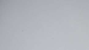 Adrien Rabiot renunció a ser suplente en Francia rumbo a Rusia 2018. (Foto: FRANCK FIFE / AFP/Getty Images)