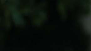 Trump pretende aumentar tarifas a los autos extranjeros.