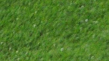 Iniesta, Torres y Villa celebran un gol de este último durante la Euro 2018.