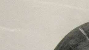 Proponen modificar las visas H2-C para poder contratar a trabajadores agrícolas extranjeros por hasta tres años