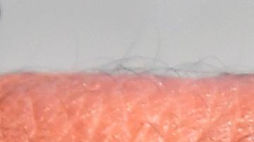 Insecto que trasmite el Zika