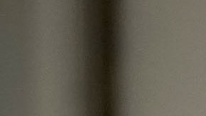 Barron Trump tiene pocas apariciones públicas.