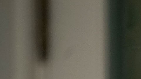 Barron Trump tiene pocas apariciones públicas.