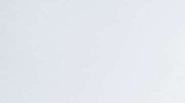 Un alto porcentaje de los centroamericanos está protegido por el TPS.