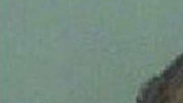 El Servicio Secreto de le seguía la pista al joven por comentarios que había hecho en internet sobre Trump