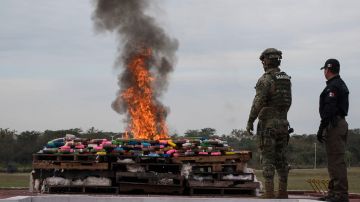 Marines mexicanos observan la quema de toneladas de drogas en Veracruz